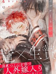 EVA新剧场版Q 剧情概览
